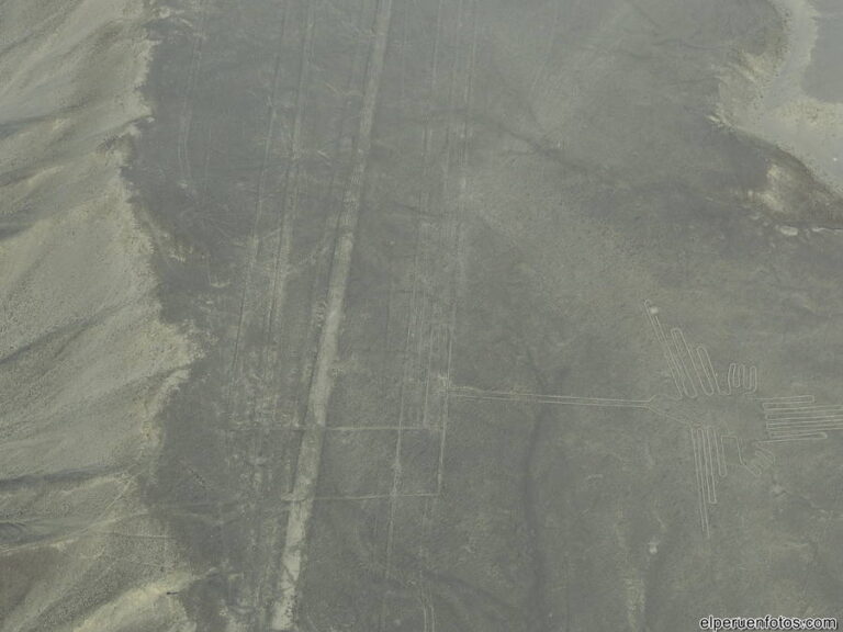 geoglifos de nazca 019